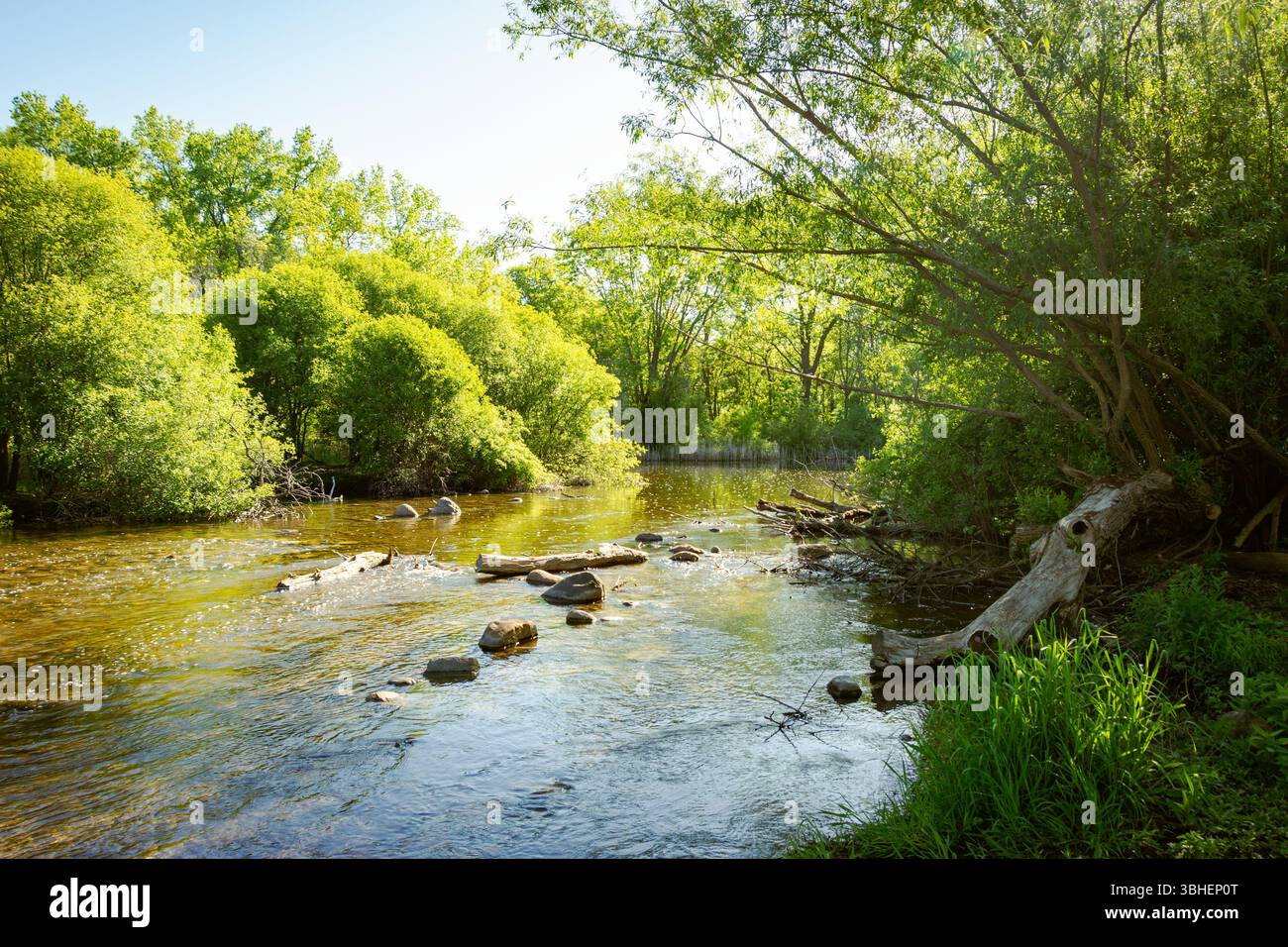 Il fiume Bark nella contea di Waukesha, Wisconsin, scorre attraverso un vivace paesaggio verde a maggio, con alberi che si riflettono nelle sue acque cristalline. Foto Stock