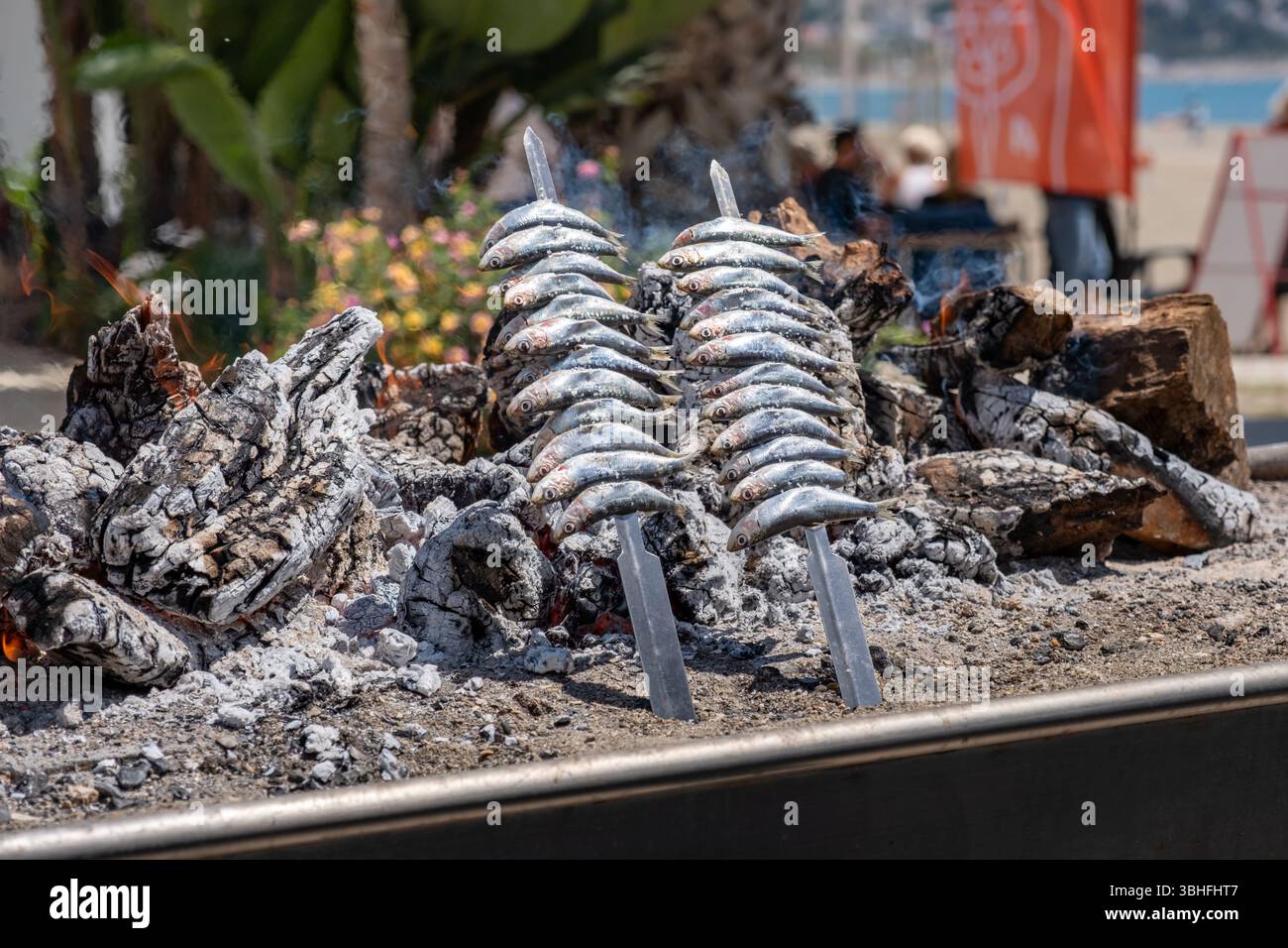 Sardine fresche grigliate sulla fiamma aperta sulla spiaggia - autentica scena di cucina costiera Foto Stock