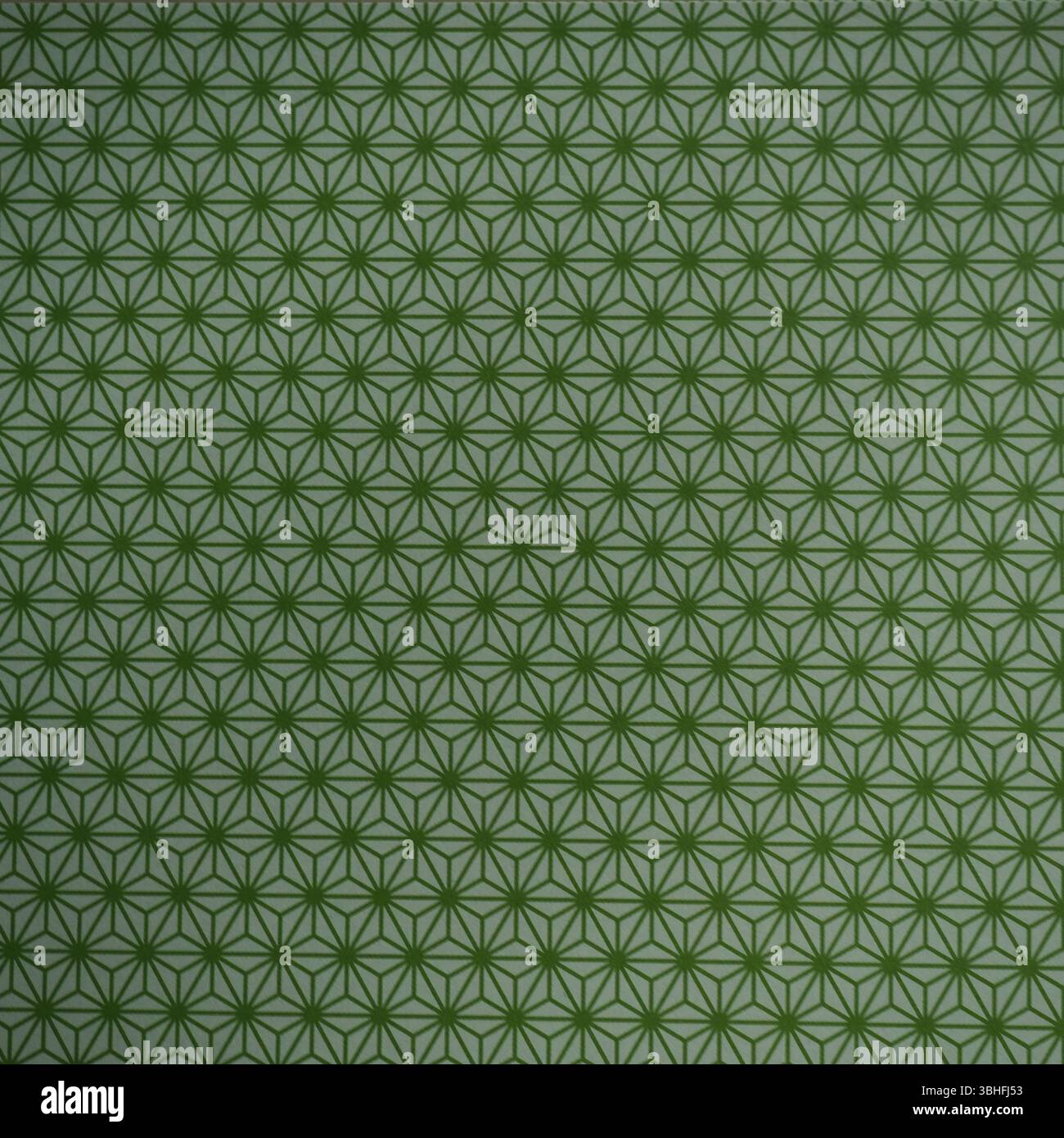 Tradizionale motivo Asanoha giapponese su sfondo bianco greenon Foto Stock