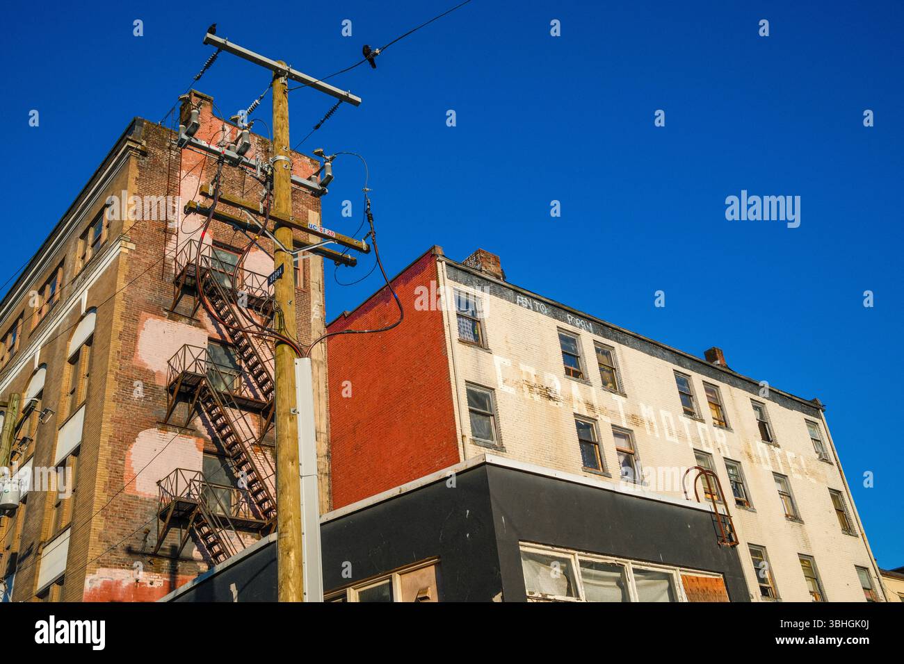 Lato posteriore del Cobalt Hotel lungo Main Street a Vancouver con 2 corvi che guardano in basso da un palo telefonico e un cavo. Foto Stock