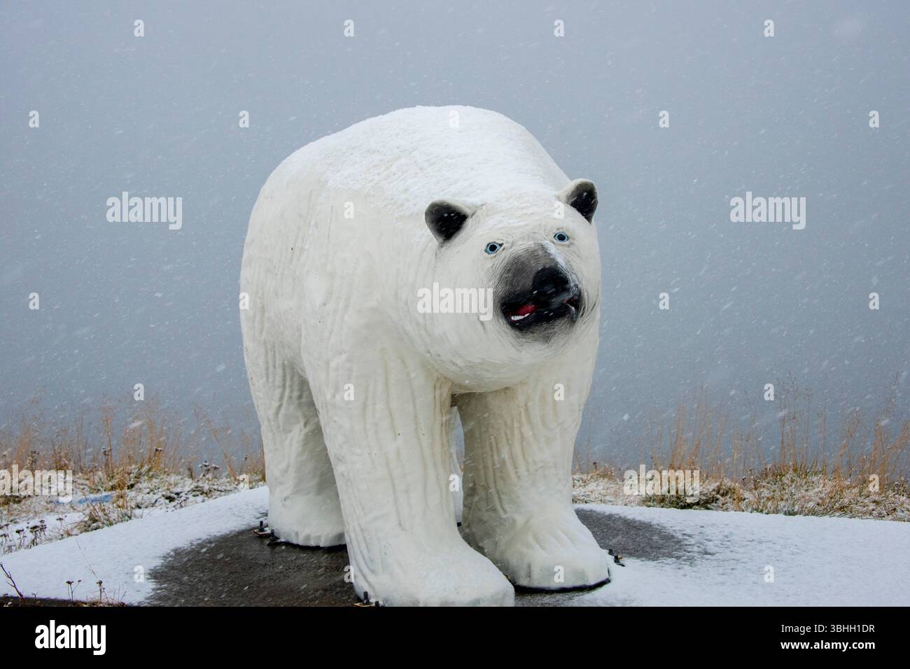 Statua dell'orso polare a Hammerfest - Norvegia Foto Stock