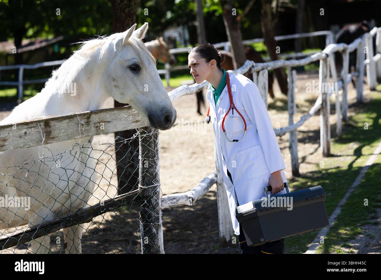 Una donna si trova accanto al cavallo bianco. al ranch. L'atmosfera e' tranquilla e invitante, sfoggiando un legame con gli animali Foto Stock