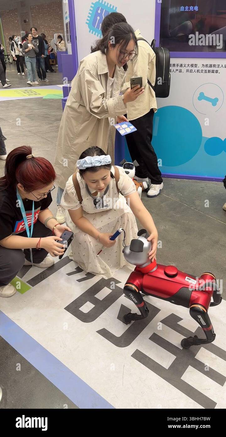 Wuhan, Cina. 10 giugno 2025. Questa foto scattata il 16 maggio 2025 mostra Huang Ying che interagisce con un cane robot durante una mostra di fantascienza a Pechino, capitale della Cina. PER ANDARE CON "Feature: 10 anni dopo aver fatto la storia del gaokao, lo studioso cinese cieco abbraccia la vita senza limiti" crediti: Xinhua/Alamy Live News Foto Stock