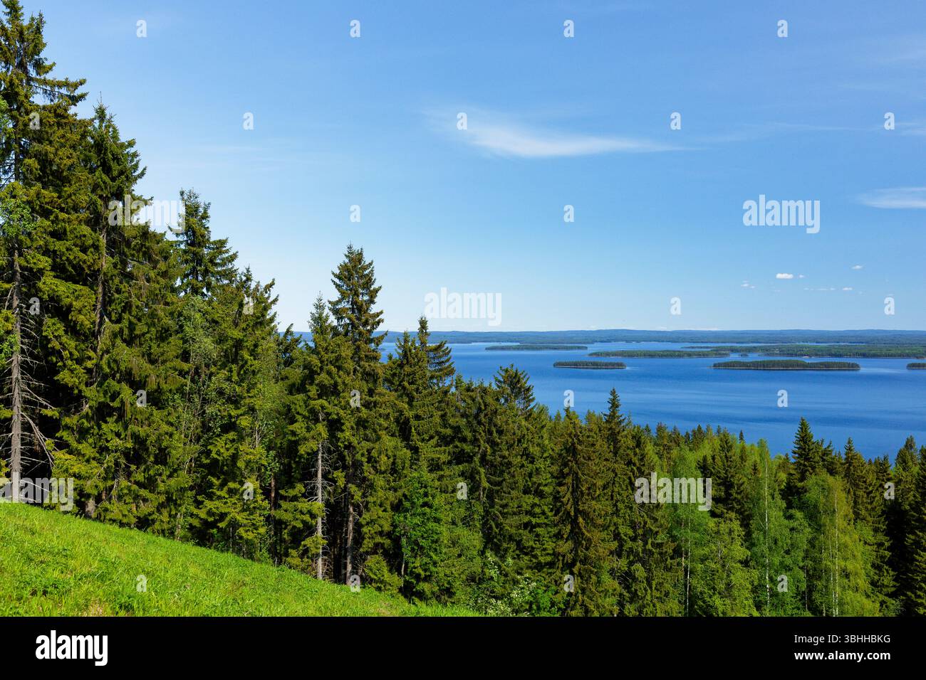 Vista dal Parco Nazionale di Koli che si affaccia sul Lago Pielinen nella Carelia settentrionale, Finlandia, caratterizzata da una fitta foresta Foto Stock