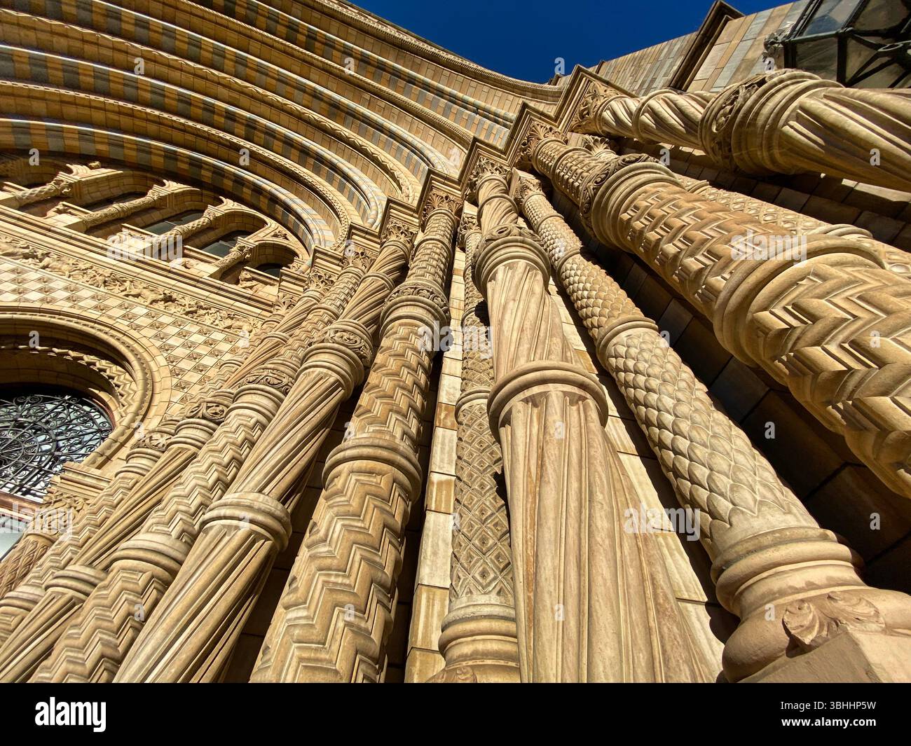 Colonne ornate all'ingresso del Museo di storia naturale di Londra, Regno Unito Foto Stock
