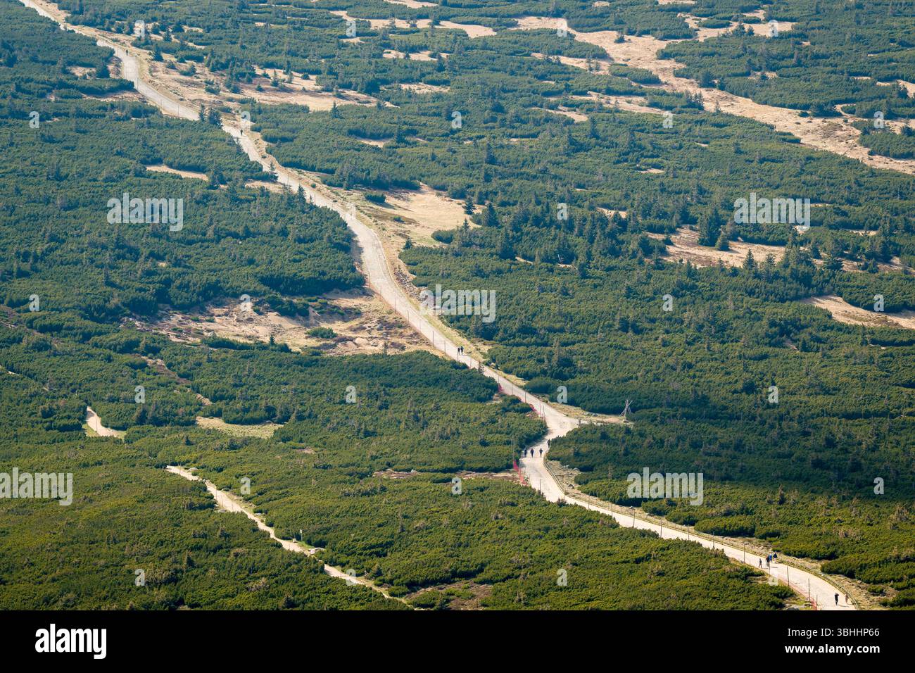 Una vista dall'alto della rete di sentieri escursionistici nel Parco Nazionale di Karkonosze, in Polonia, che si snoda attraverso un lussureggiante paesaggio montano verde. Foto Stock