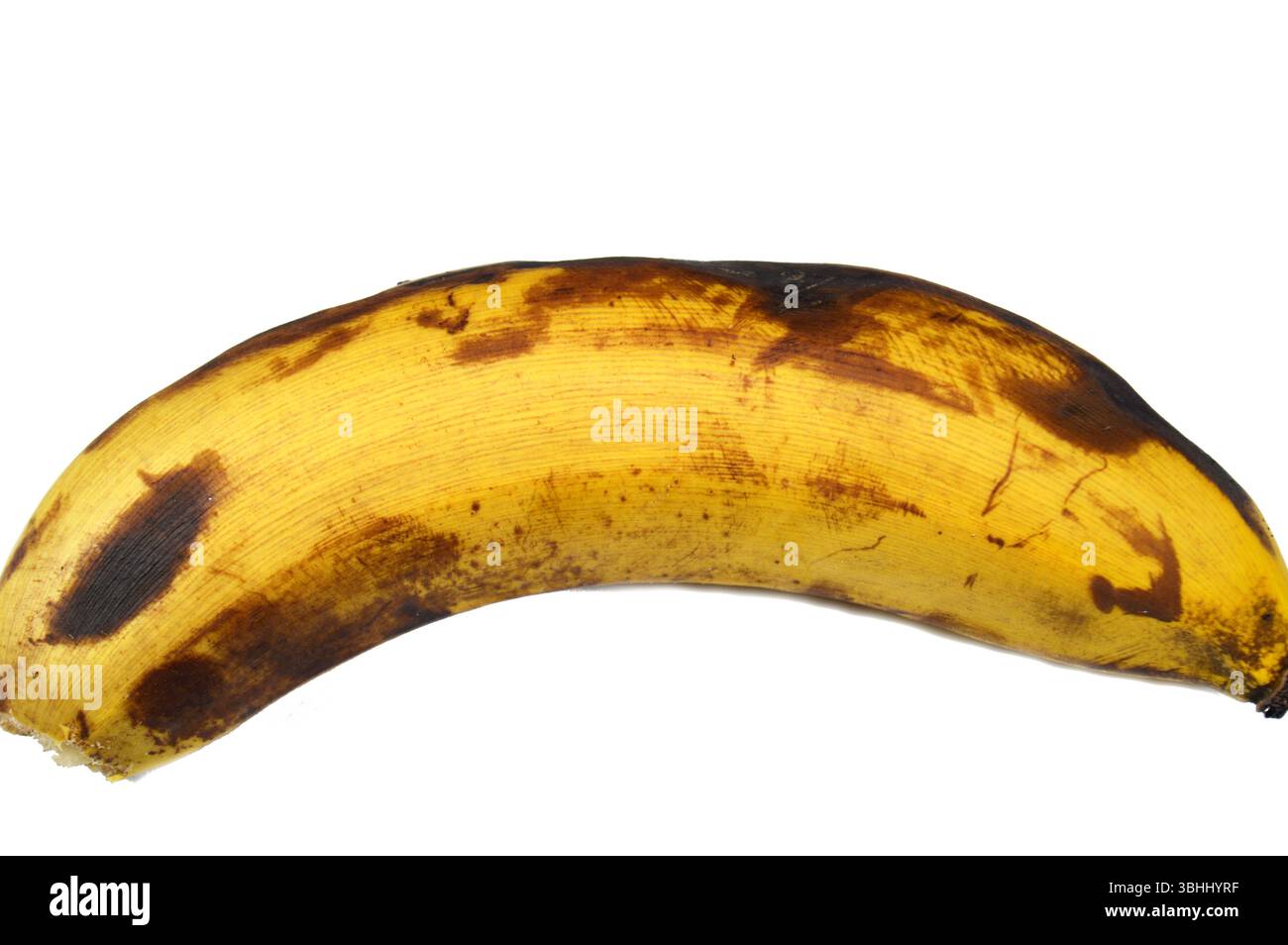 Frutti di banana, allungati, commestibili botanicamente una bacca, prodotta da diversi tipi di grandi piante erbacee a fiore del genere Musa, il larg Foto Stock