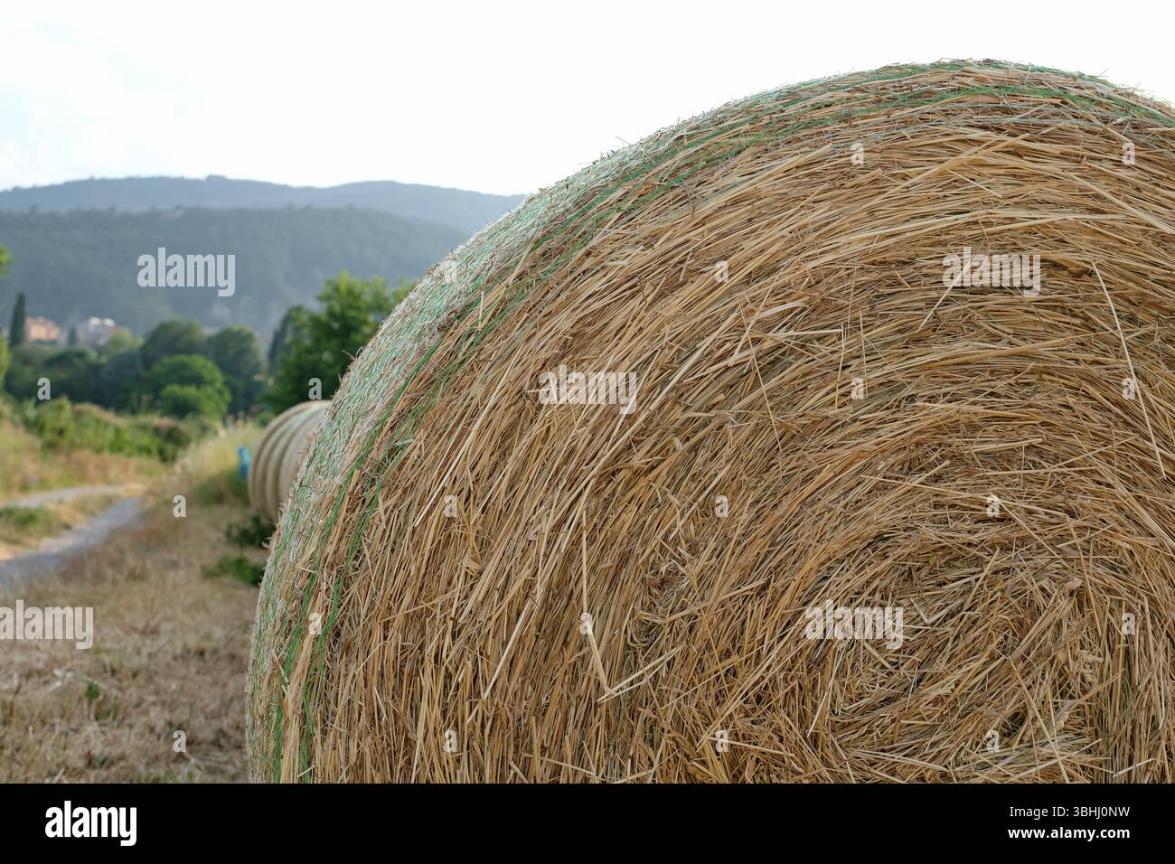Grandi balle di fieno avvolte in una rete di fieno contro un paesaggio rurale in Catalogna, Spagna. Profondità di campo ridotta. Copia spazio. Foto Stock