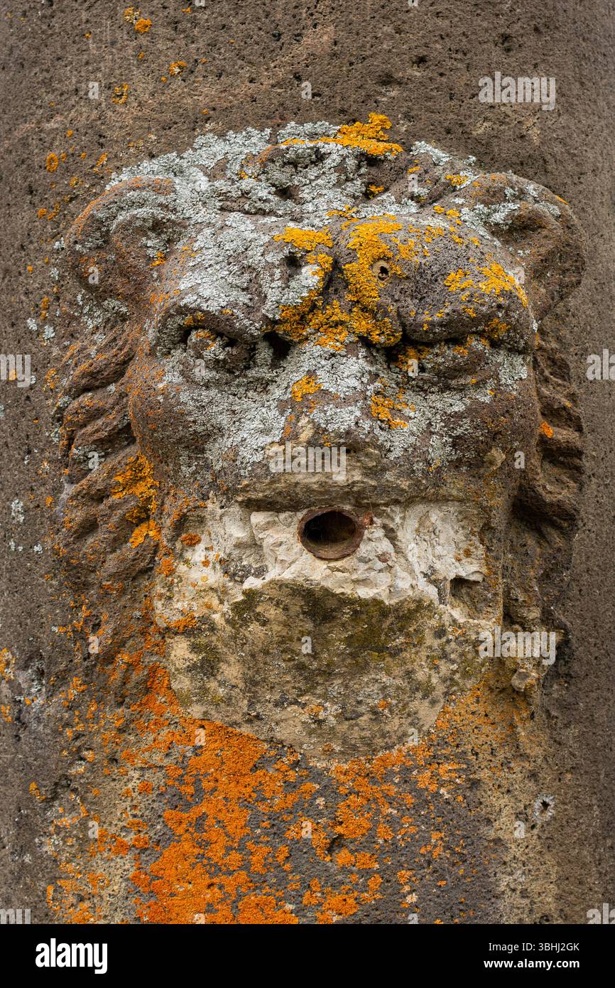 Il leone di pietra adorna la fontana con texture uniche e colori vivaci in Francia Foto Stock