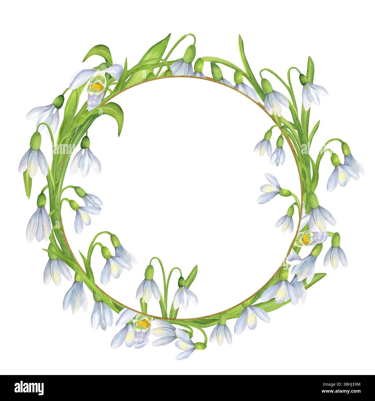 Un elegante e minuscolo cerchio dorato incorniciato da fiori di gocce di neve bianche e foglie verdi. Corona primaverile. Scogliera del giardino primaverile. Illustrazione ad acquerello disegnata a mano Foto Stock