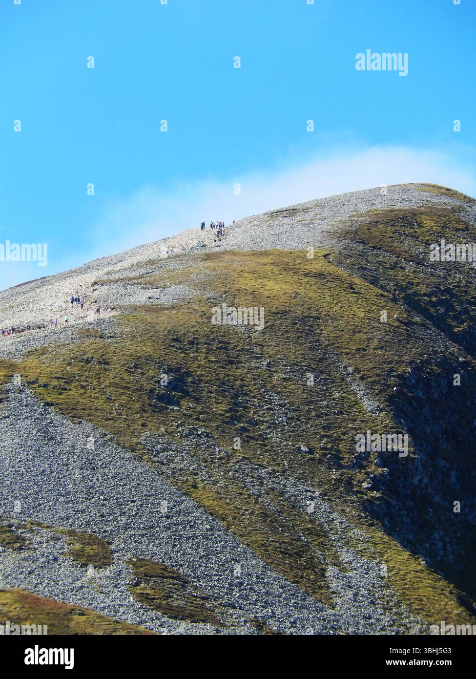 Gruppo di escursionisti che salgono su una pendenza delle Montagne Rocciose in una giornata limpida Foto Stock