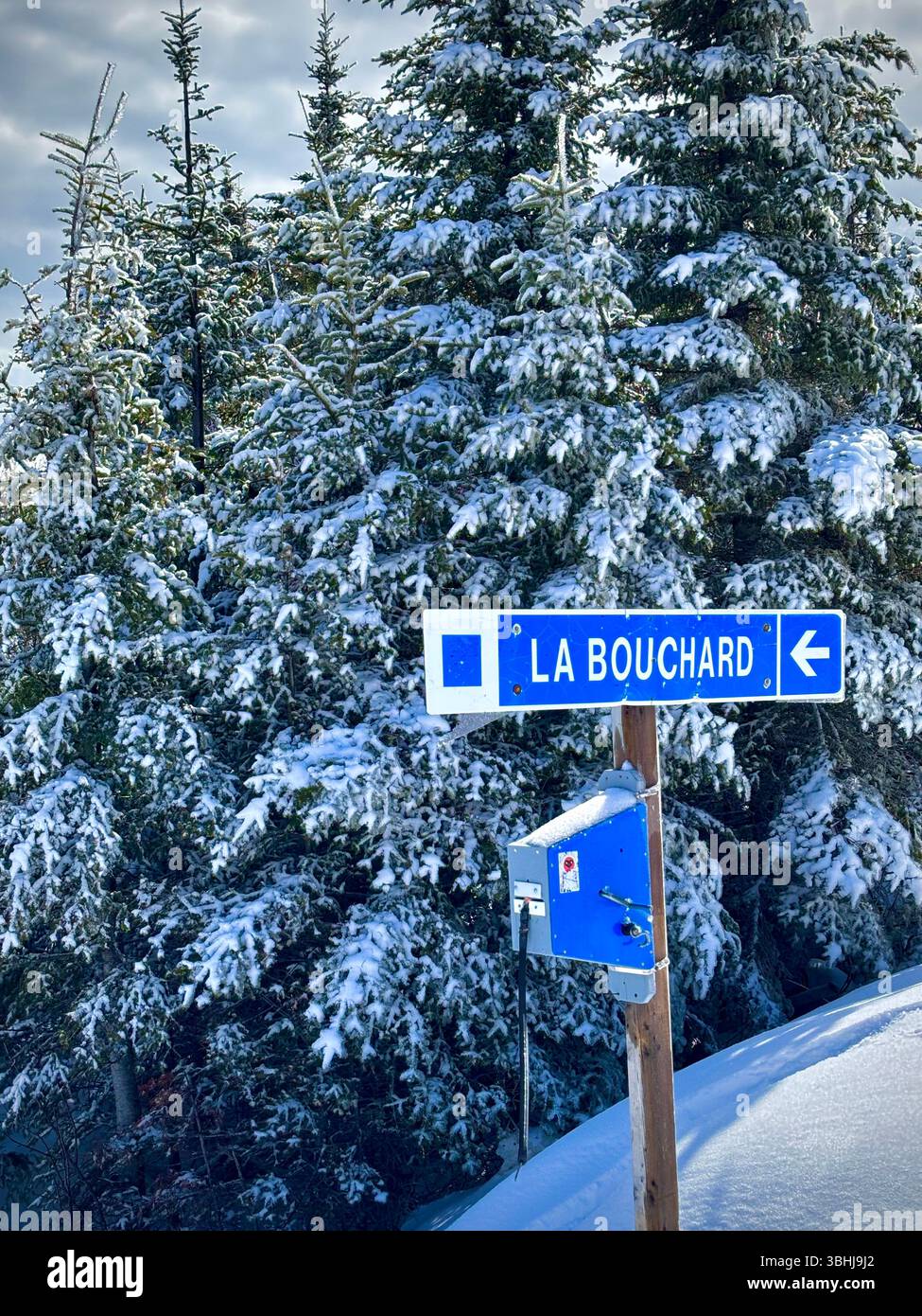 La Bouchard in una giornata nevosa, le Massif, Quebec, Canada - Immagine stock catturata con smartphone