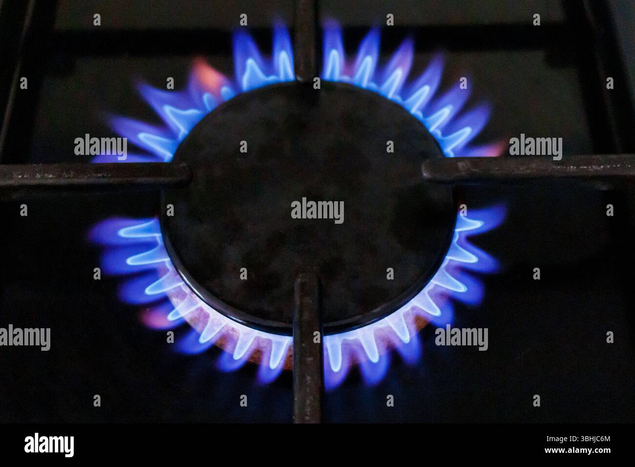 Fiamme da un anello a gas illuminato su un fornello domestico, Londra, Regno Unito Foto Stock