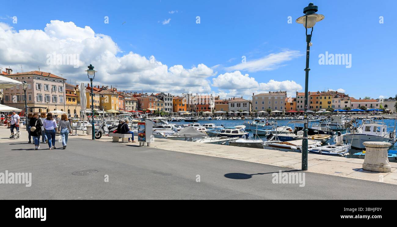 Il porto di Rovigno, Istria, Croazia, Europa Foto Stock
