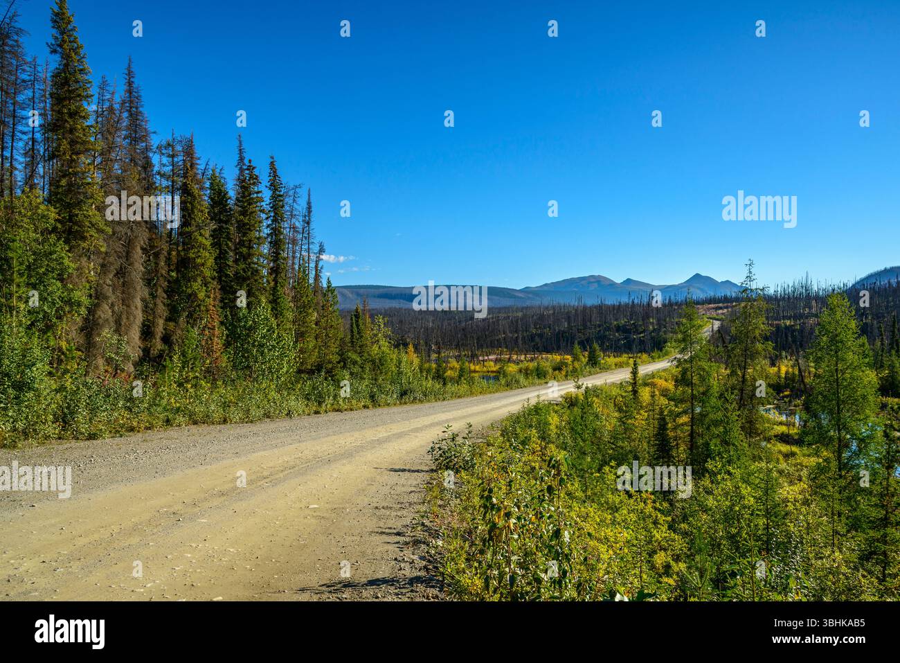 La Nahanni Range Road si dirige ad est verso le Montagne Rocciose nel territorio canadese dello Yukon Foto Stock