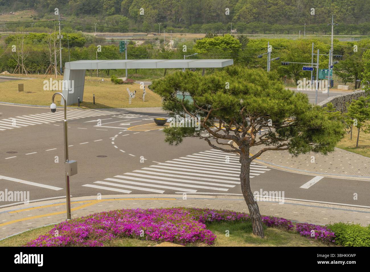 Muju, Corea del Sud. 1 maggio 2019: Albero sempreverde rifilato e azalee viola all'angolo del cancello d'ingresso di Taekwondowon con montagne sullo sfondo Foto Stock