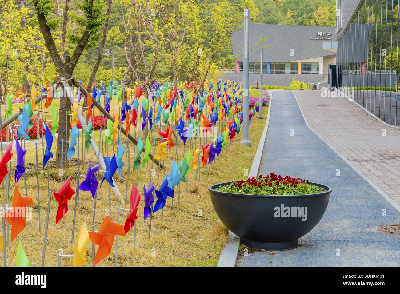 Muju, Corea del Sud. 1° maggio 2019: File di ruote piroettanti colorate nel prato di fronte al Museo Nazionale di Taekwondo con l'edificio Experience Center in fondo Foto Stock