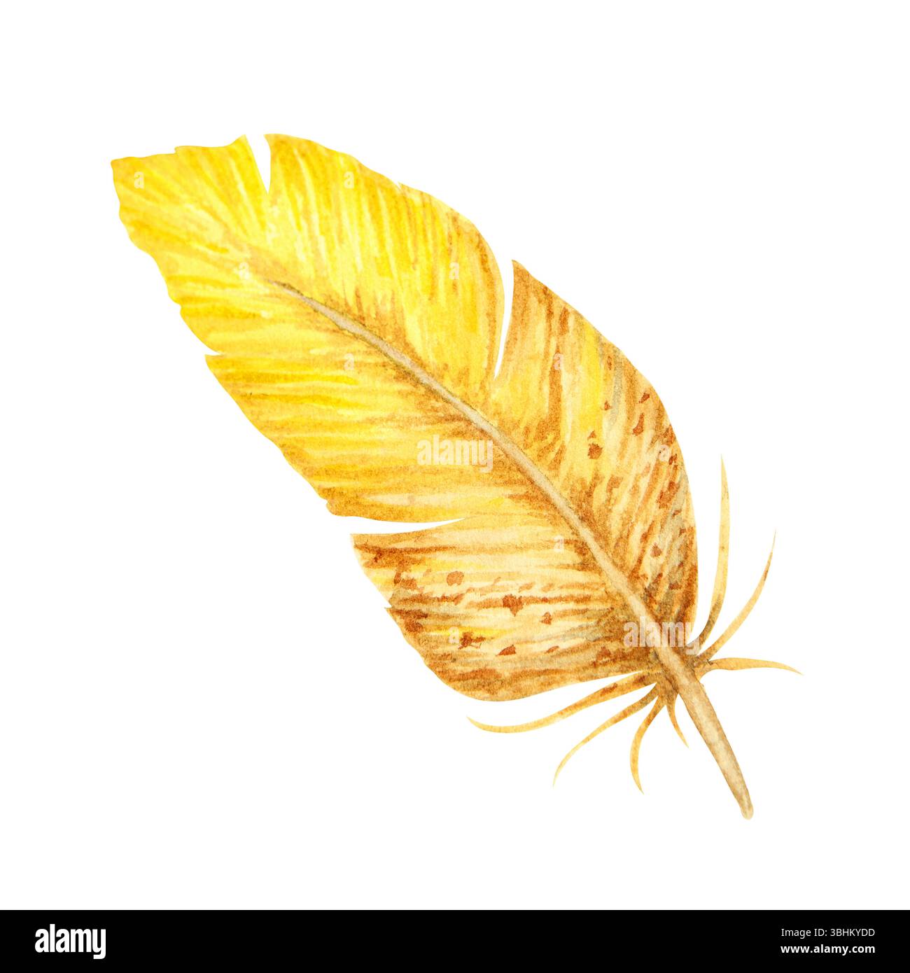 Illustrazione ad acquerello di una piuma d'uccello gialla e marrone con consistenza morbida e forma naturale. Ideale per primavera, boho, Pasqua, fauna selvatica o rustica Foto Stock