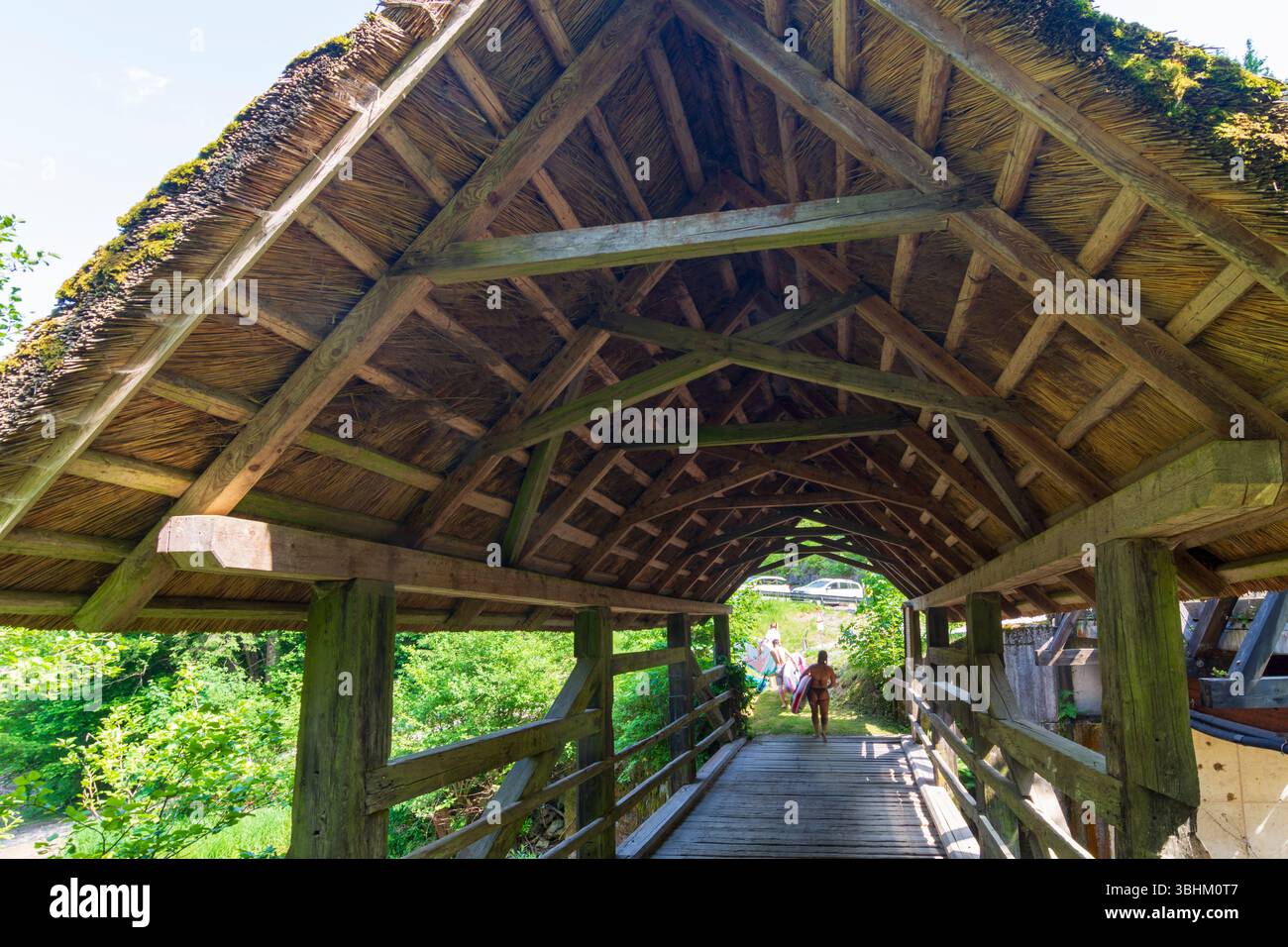 Edelschrott: Ströhberne Bruck’n (alto tedesco: Stroherne Brücke), ponte di paglia, presso il serbatoio Hirzmann-Stausee a Süd-Steiermark, Steiermark, Stiria, Au Foto Stock