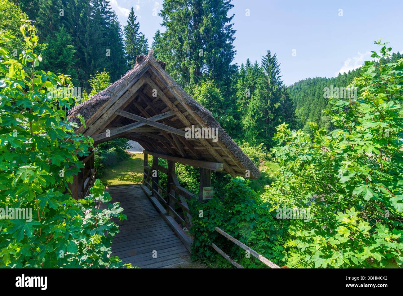 Edelschrott: Ströhberne Bruck’n (alto tedesco: Stroherne Brücke), ponte di paglia, presso il serbatoio Hirzmann-Stausee a Süd-Steiermark, Steiermark, Stiria, Au Foto Stock