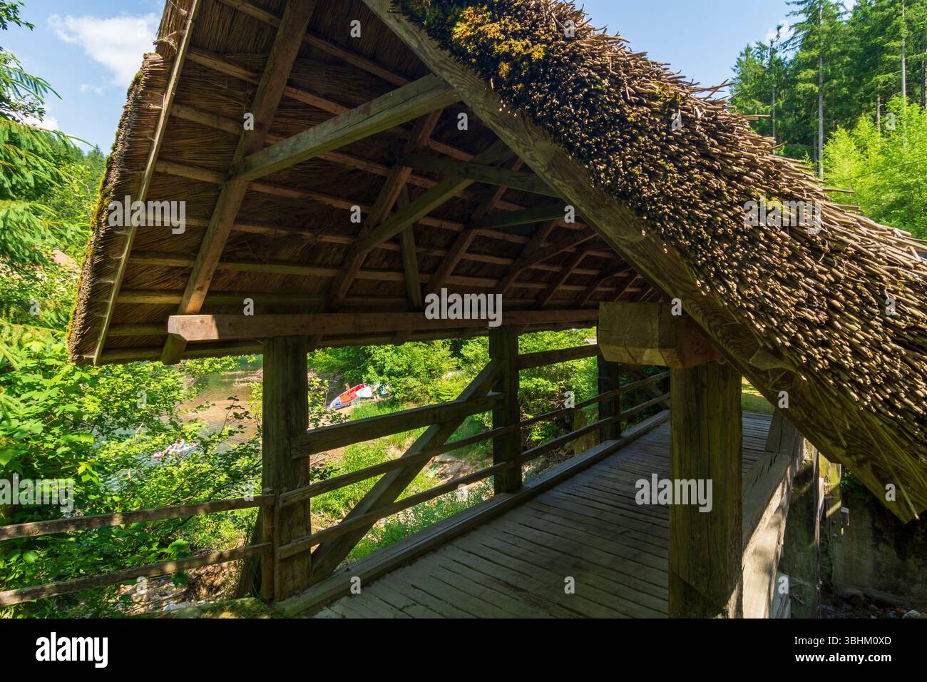 Edelschrott: Ströhberne Bruck’n (alto tedesco: Stroherne Brücke), ponte di paglia, presso il serbatoio Hirzmann-Stausee a Süd-Steiermark, Steiermark, Stiria, Au Foto Stock