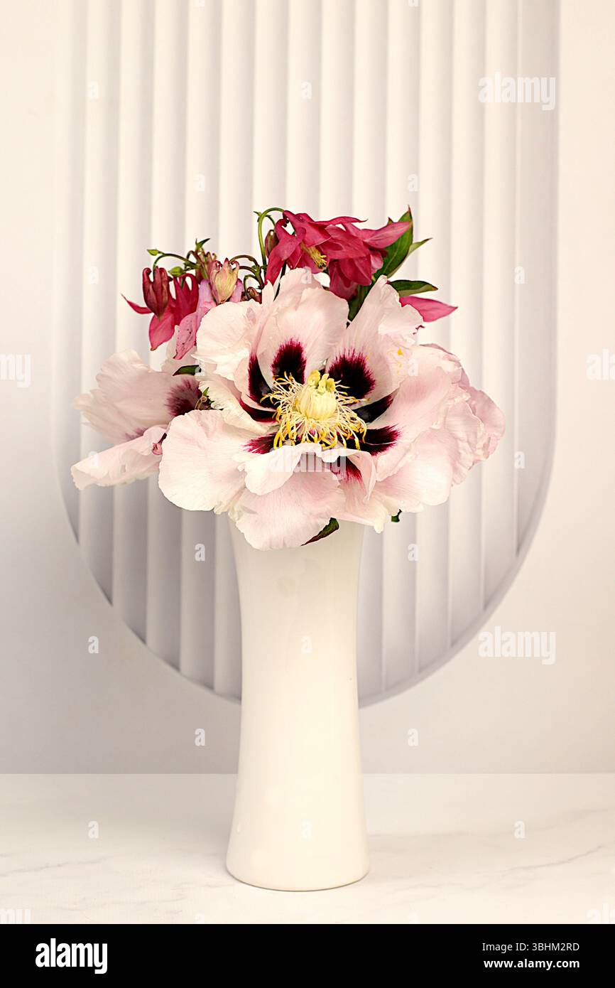 Natura morta con fiori primaverili peonie di montagna e columbine in vaso su un elegante tavolo moderno, modello per il tuo design con spazio per testo, beaut minimalista Foto Stock