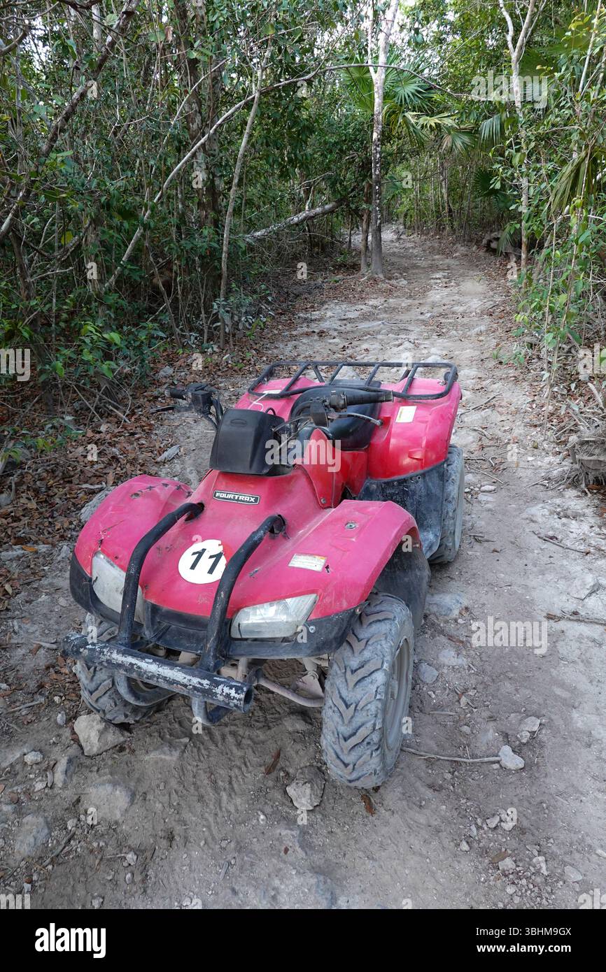 Un atv rosso a quattro ruote su un sentiero sterrato nel mezzo di una foresta circondata da alberi, tutti solitari senza persone. Foto Stock