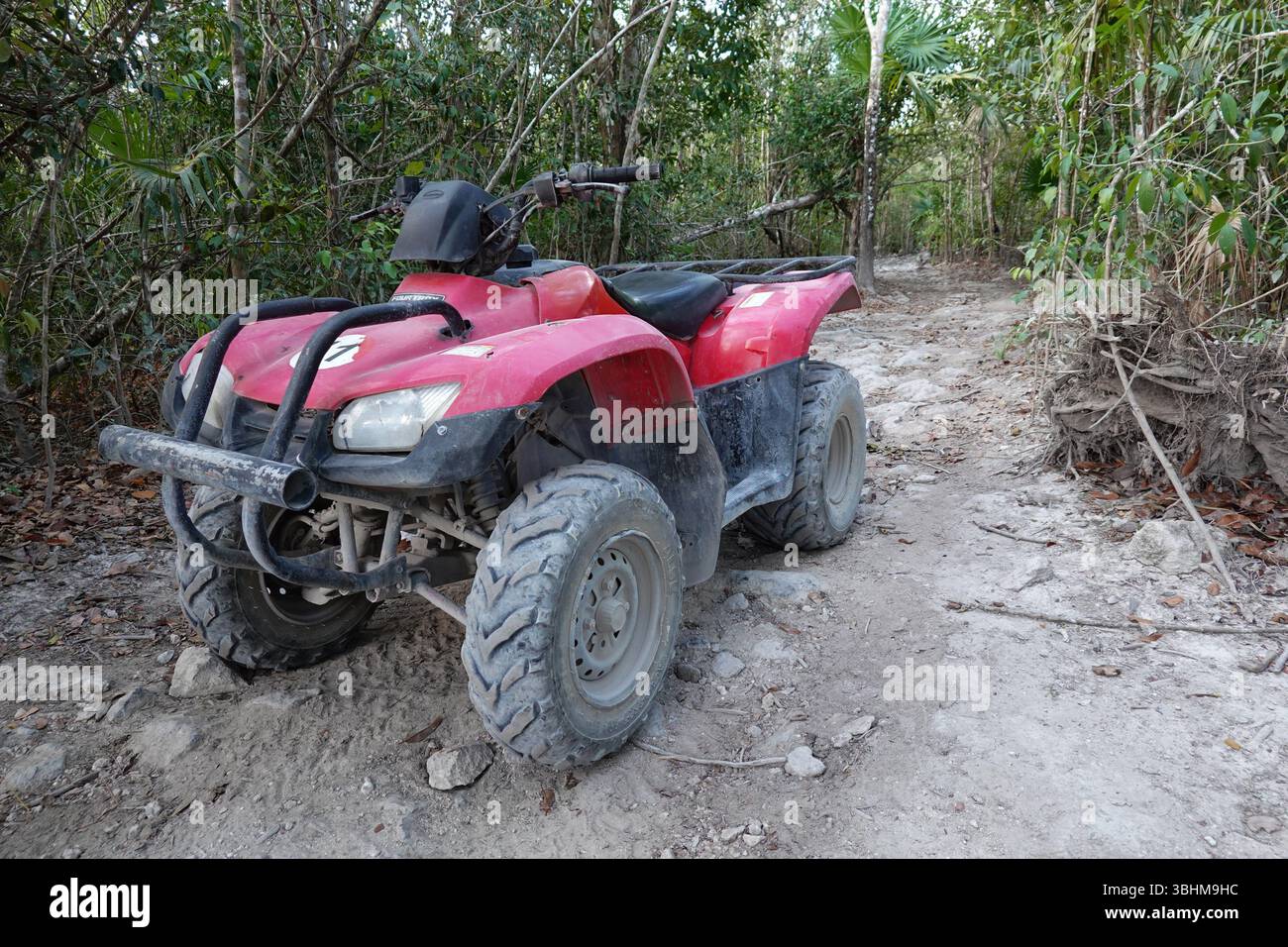 Un atv rosso a quattro ruote su un sentiero sterrato nel mezzo di una foresta circondata da alberi, tutti solitari senza persone. Foto Stock
