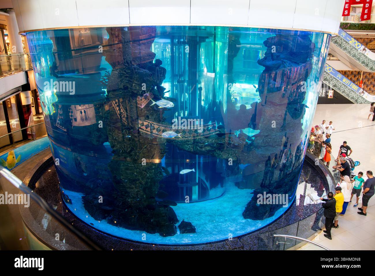 Casablanca, Casablanca-Settat - Marocco - 07-27-2024: Grande acquario nel Morocco Mall, Casablanca, che mostra varie forme di vita marina e formazioni rocciose. Foto Stock