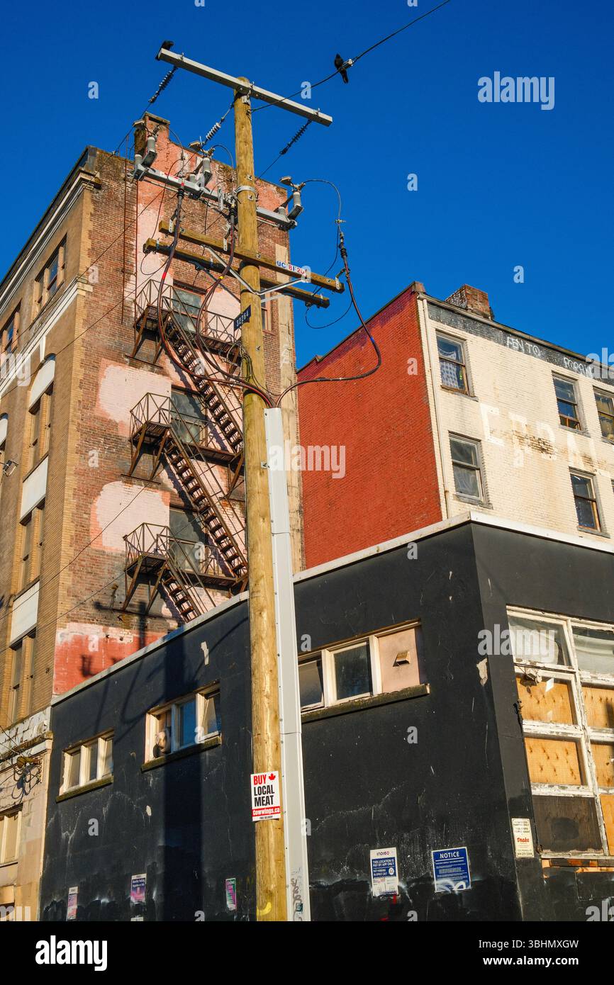 Lato posteriore del Cobalt Hotel lungo Main Street a Vancouver con un corvo che guarda in basso da un cavo telefonico. Foto Stock