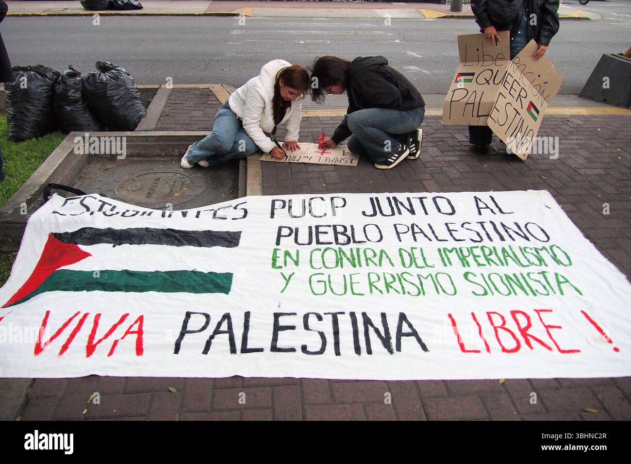 Lima, Perù. 10 giugno 2025. "Lunga vita alla Palestina libera”, legge uno striscione quando decine di persone hanno tenuto un sit-in per la Flottiglia per la libertà e la situazione a Gaza di fronte all'ambasciata francese a Lima. La Flottiglia per la libertà del 2025 è stato un tentativo umanitario marittimo di rompere il blocco navale israeliano della Striscia di Gaza e fornire aiuti umanitari. Credito: Fotoholica Press Agency/Alamy Live News Foto Stock