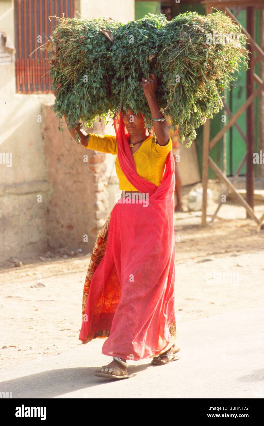 Un lavoro rivoluzionario nel Rajasthan, India, 2001 Foto Stock