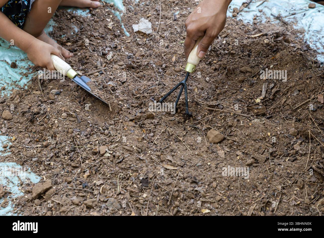 mani di genitori e bambini che puliscono insieme il terreno del giardino all'aperto Foto Stock