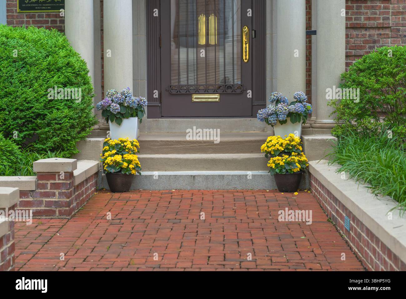 Una bella casa in mattoni di ingresso e' decorata con ortensie in vaso e fiori gialli luminosi che fiancheggiano i gradini. Foto Stock