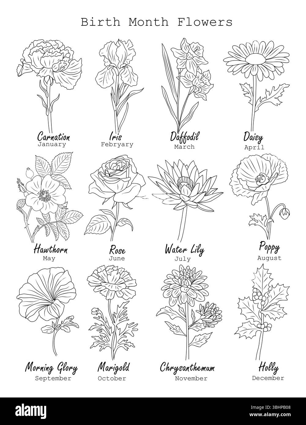 Set di disegni line art del mese di nascita dei fiori Illustrazione Vettoriale
