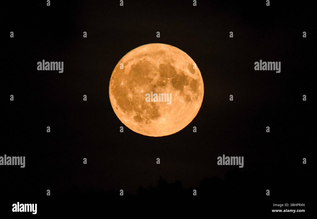 Cumbria, Regno Unito. 11 giugno 2025. La luna di fragole sulla Cumbria. Gli astronomi nell'emisfero settentrionale avvistarono una luna quasi piena seduta molto bassa nel cielo meridionale, facendola apparire molto più grande del solito. Crediti: John Eveson/Alamy Live News Foto Stock