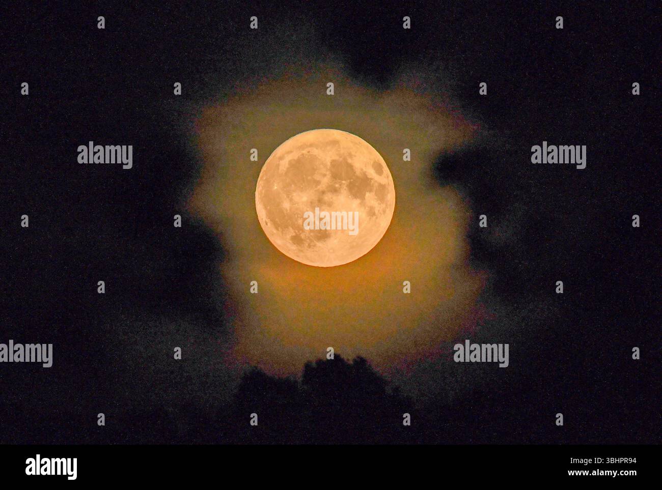 Cumbria, Regno Unito. 11 giugno 2025. La luna di fragole sulla Cumbria. Gli astronomi nell'emisfero settentrionale avvistarono una luna quasi piena seduta molto bassa nel cielo meridionale, facendola apparire molto più grande del solito. Crediti: John Eveson/Alamy Live News Foto Stock