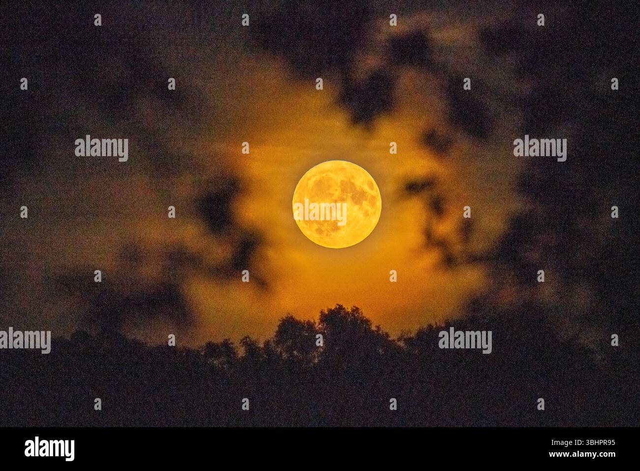 Cumbria, Regno Unito. 11 giugno 2025. La luna di fragole sulla Cumbria. Gli astronomi nell'emisfero settentrionale avvistarono una luna quasi piena seduta molto bassa nel cielo meridionale, facendola apparire molto più grande del solito. Crediti: John Eveson/Alamy Live News Foto Stock