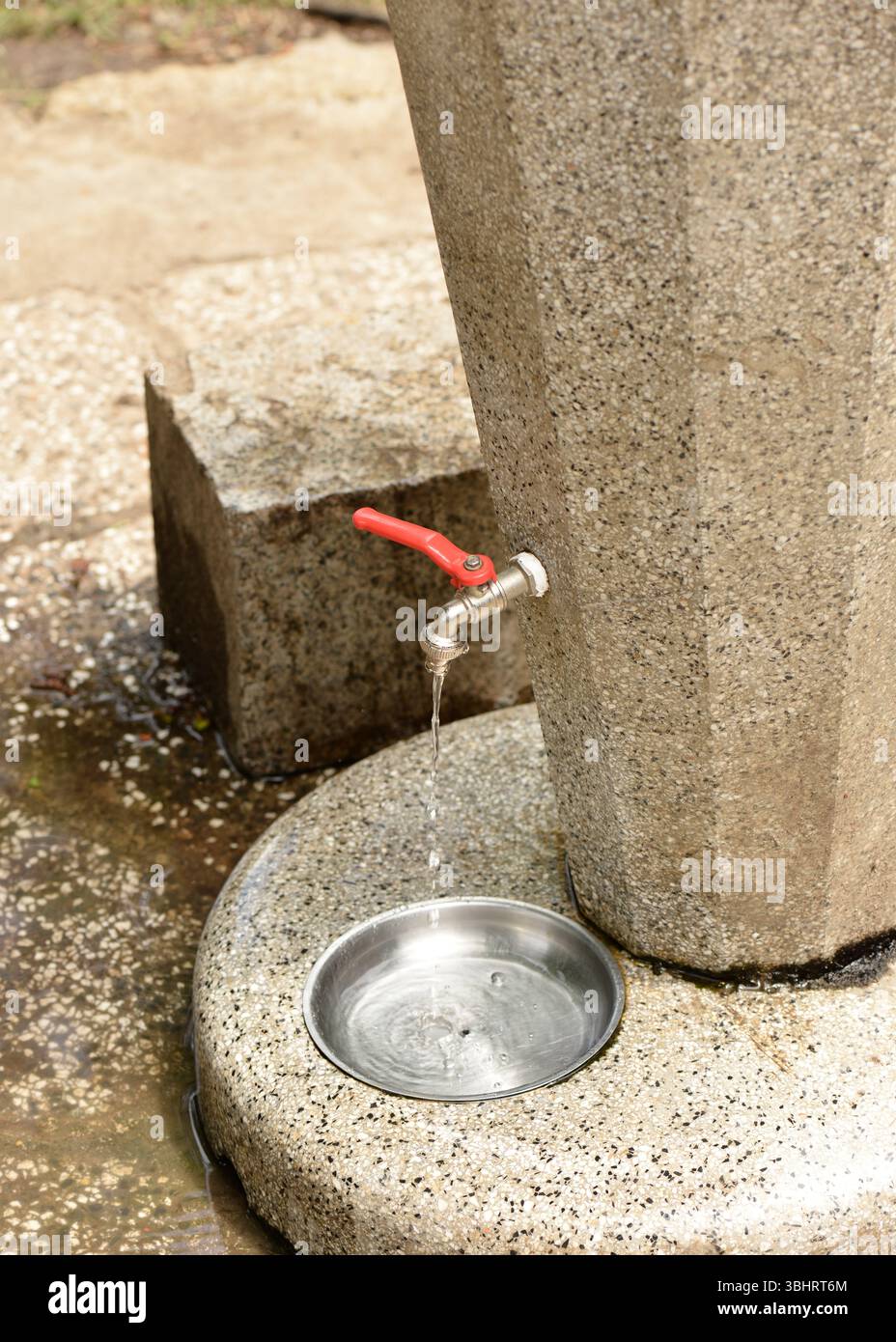 Fontana per cani nel parco urbano, progettata per l'uso con animali domestici Foto Stock
