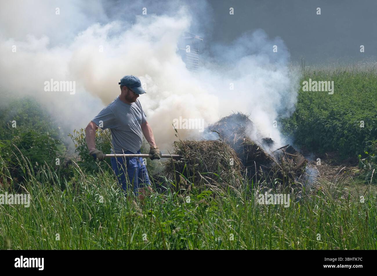 erba tagliata in fiamme nell'habitat delle zone umide, nella tenuta di bayfield, nel centro dei fiori selvatici, nel nord di norfolk, in inghilterra Foto Stock