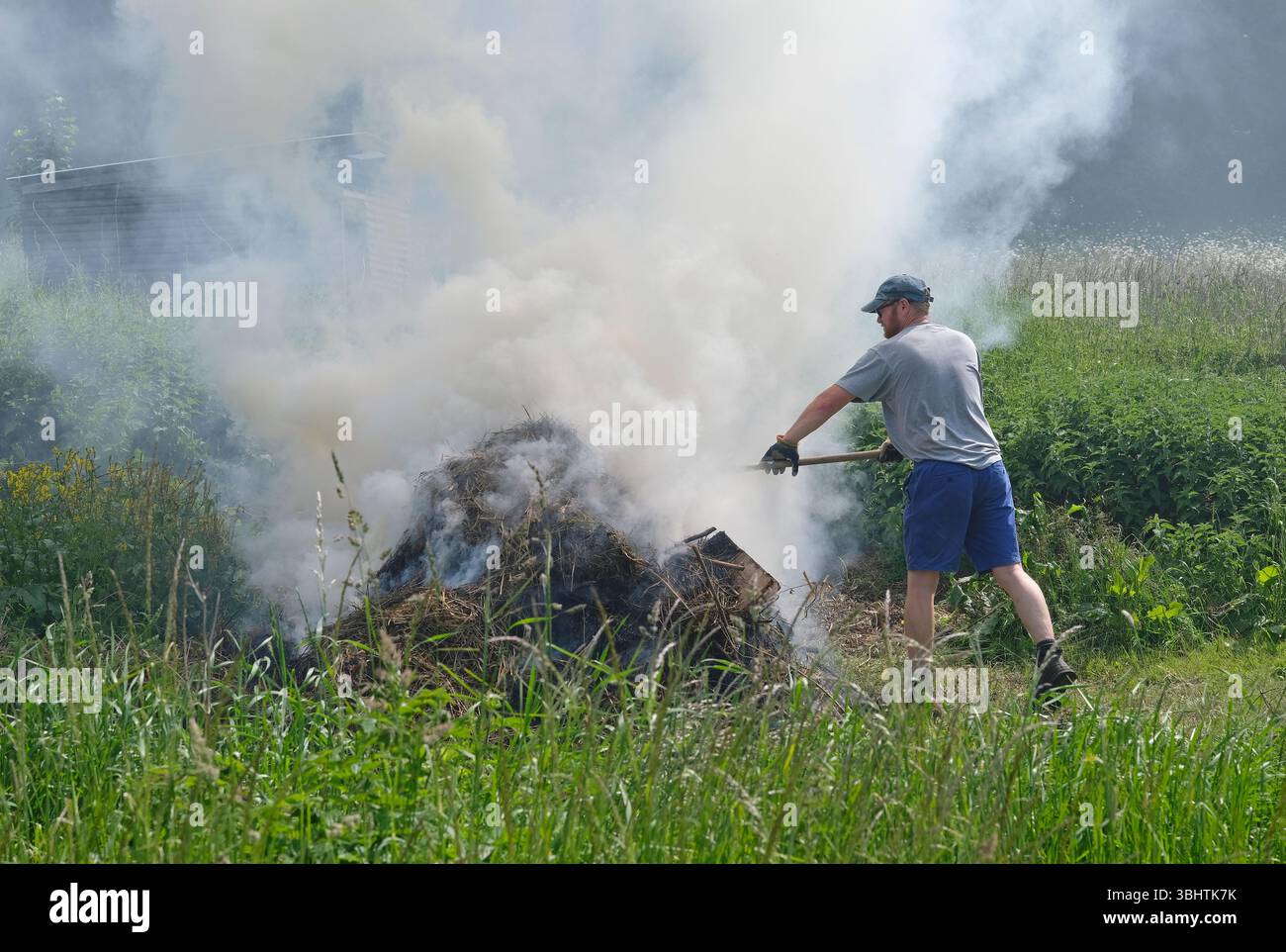 erba tagliata in fiamme nell'habitat delle zone umide, nella tenuta di bayfield, nel centro dei fiori selvatici, nel nord di norfolk, in inghilterra Foto Stock