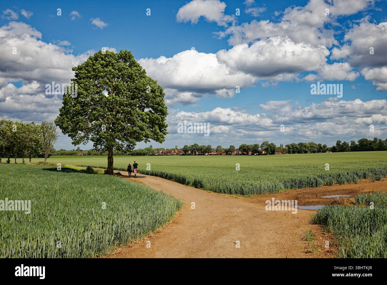 Una coppia (uomo e donna) cammina lungo un sentiero polveroso in una calda giornata di sole tra campi di grano coltivato con il bordo di una città in lontananza. Foto Stock