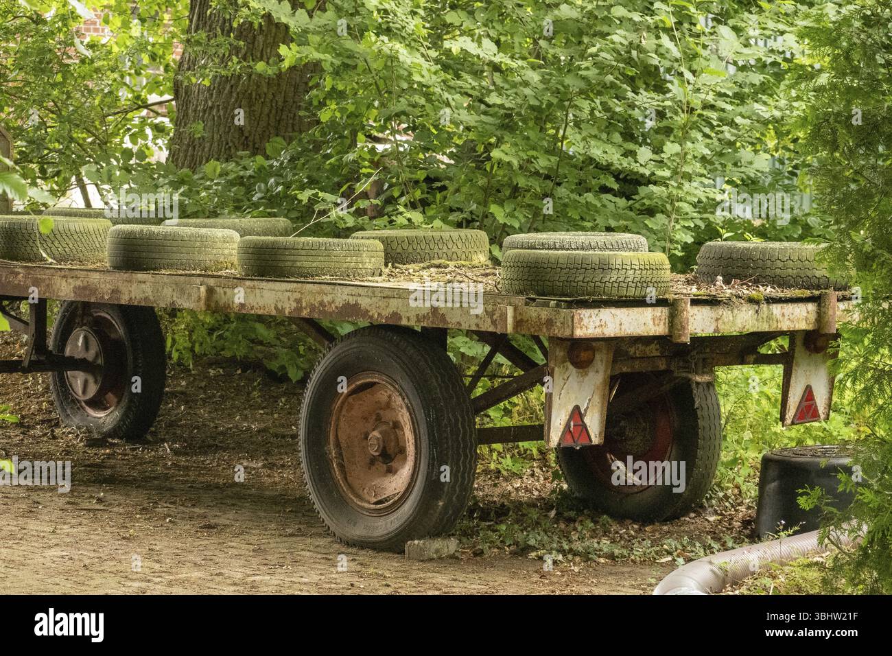 Borken, NRW, Germania, pneumatici Mossy che coprono rimorchi arrugginiti abbandonati parcheggiati in un cortile sovrastato, raffiguranti il decadimento rurale e l'abbandono, in Europa Foto Stock