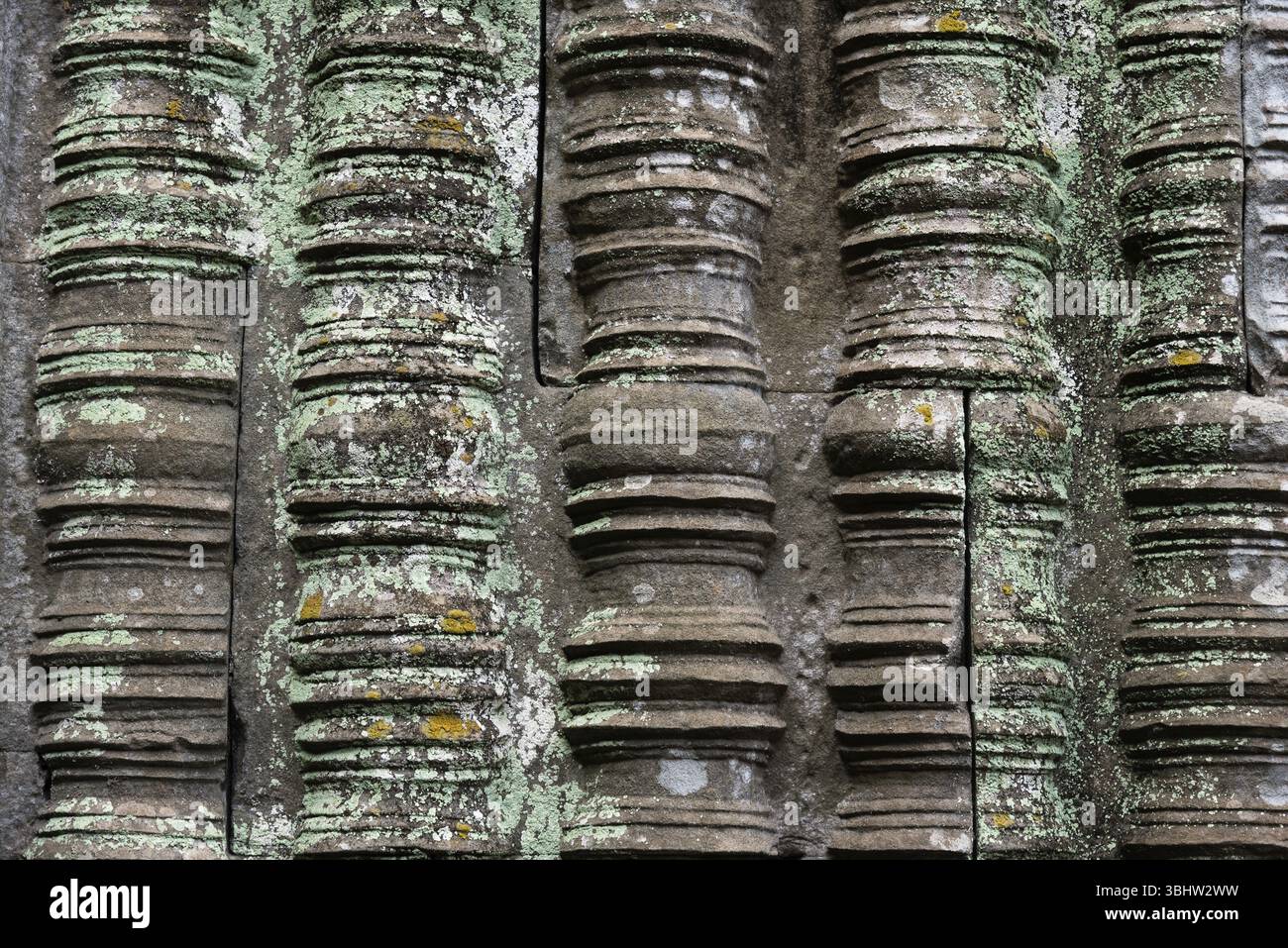 Pittoresca parete del tempio, tempio della giungla, mistica, Ta Prohm, complesso del tempio buddista, sito patrimonio dell'umanità dell'UNESCO, Angkor Wat, Siem Reap, Cambogia, Sout Foto Stock