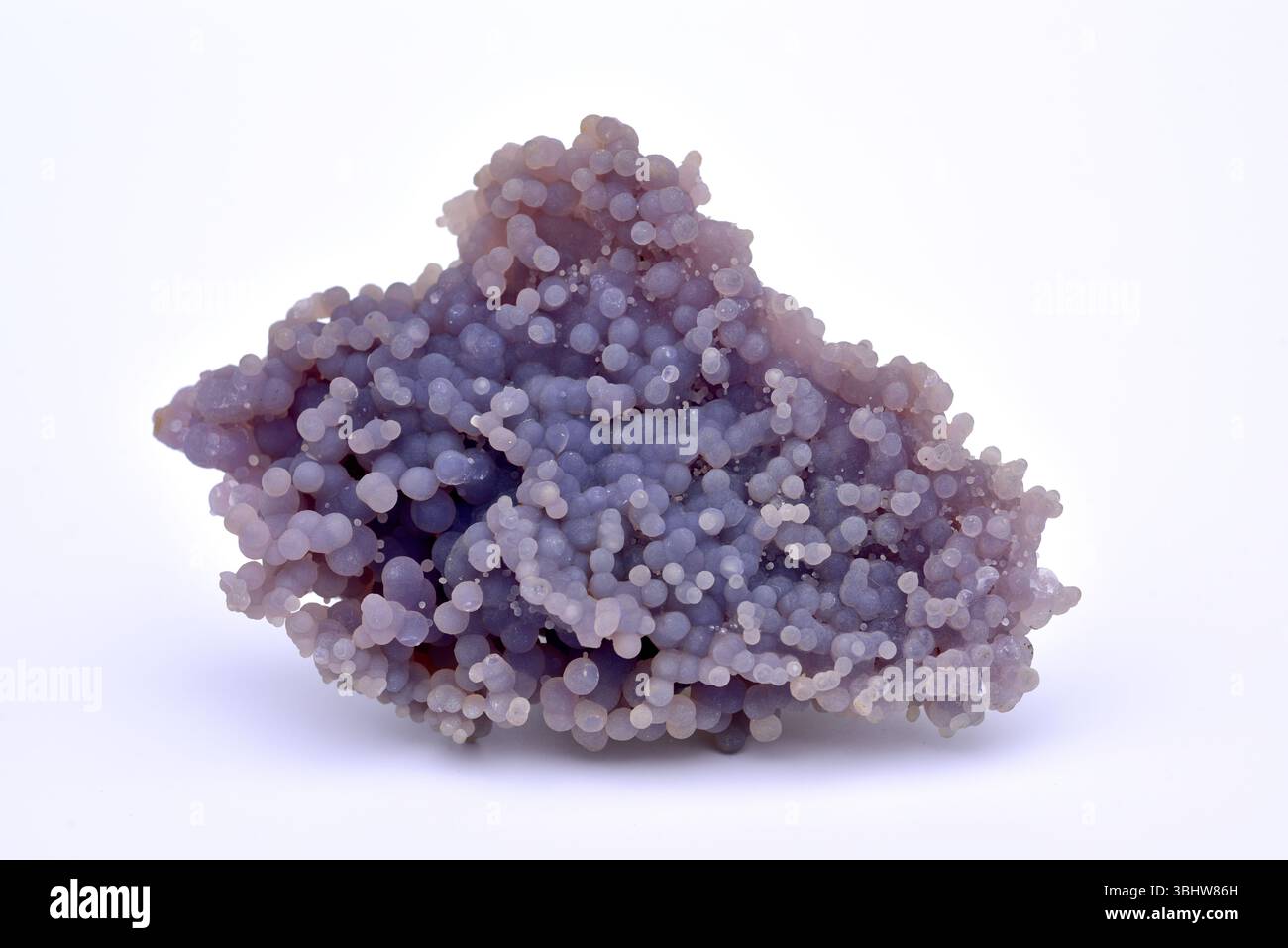 L'agato di uva viola botryoidale è una varietà microcristallina di calcedonia (quarzo). Questo campione proviene da Sulawesi, Indonesia. Foto Stock