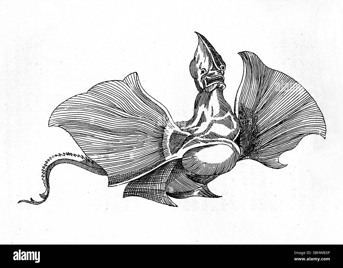 John Ashton - creature curiose in Zoologia - 1890 Foto Stock