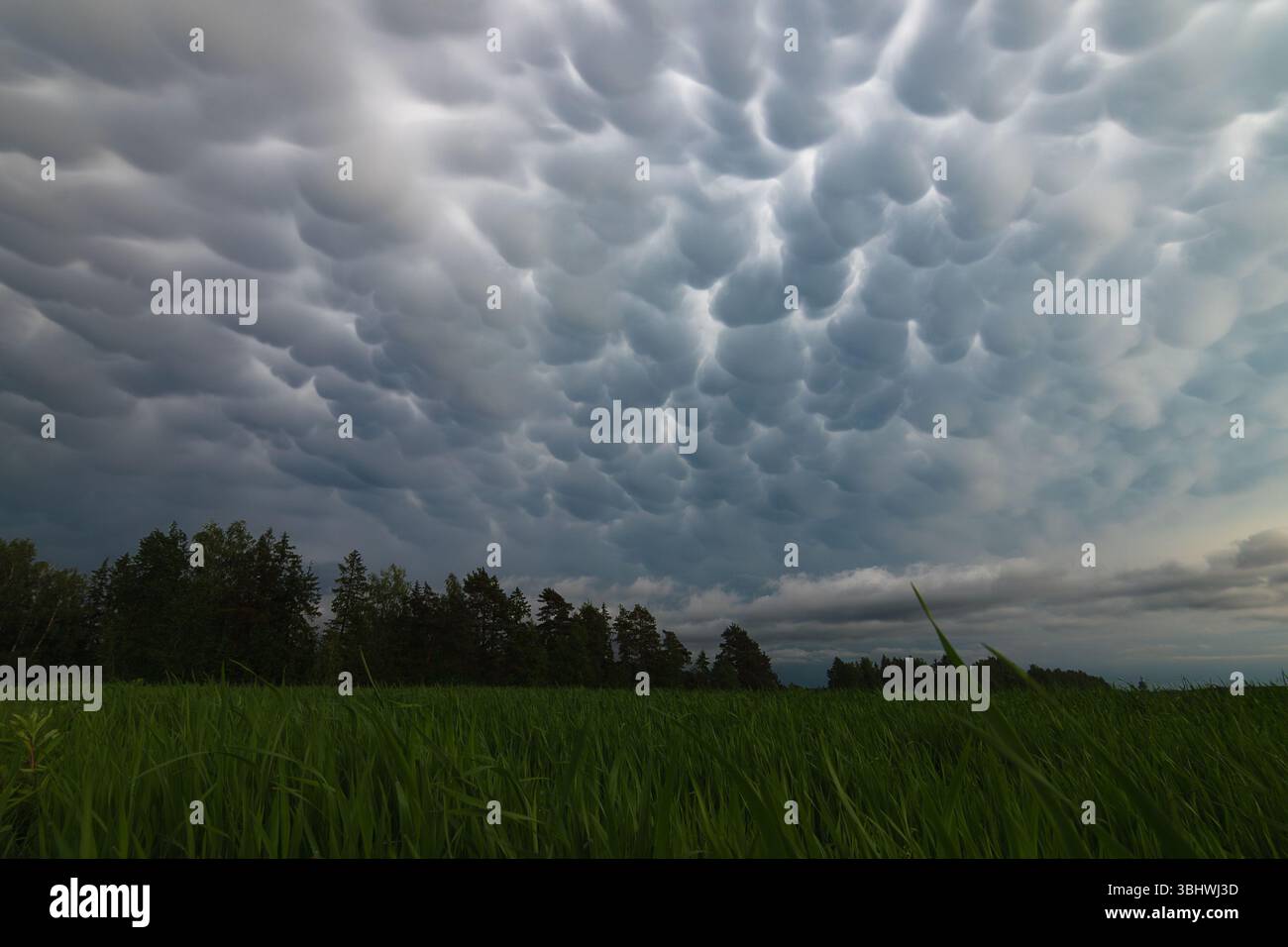 Grande nuvola di tempesta sui campi nuvole mammatus 20 Foto Stock