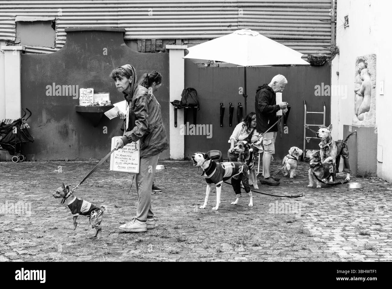 Persone che raccolgono denaro per Un'associazione di beneficenza per cani nel quartiere la Boca di Buenos Aires, Argentina. Foto Stock