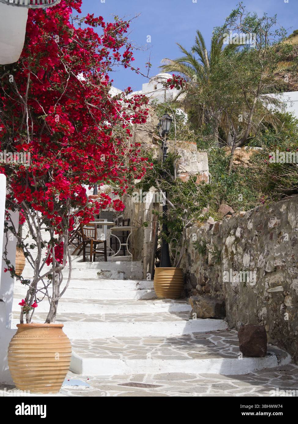 Affascinante strada greca con facciata bianca, bouganville rosa, vaso di argilla e scalinata in pietra. Soleggiata e tranquilla atmosfera estiva, concetto di viaggio. Foto Stock