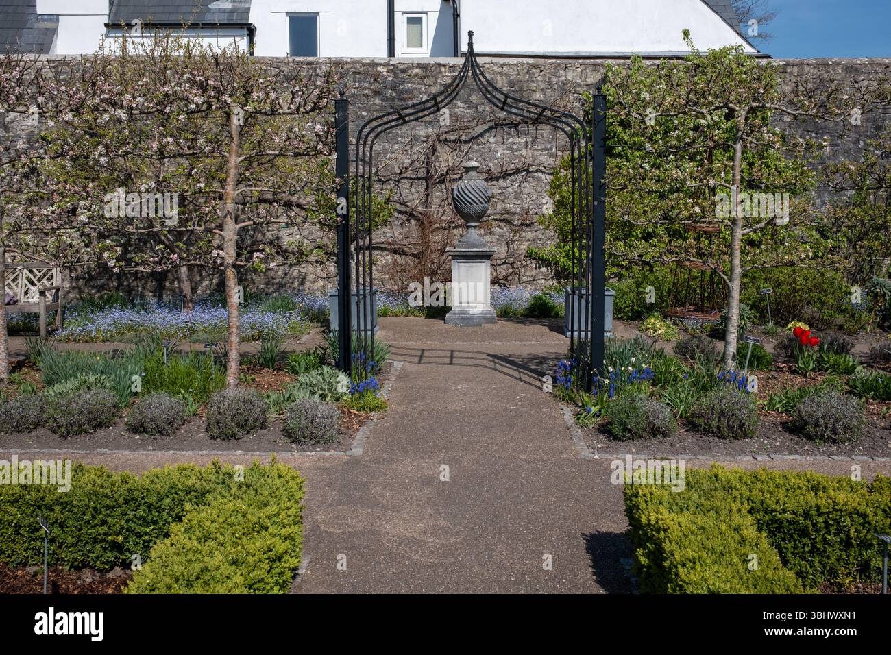 Il Physic Garden di Cowbridge a Glamorgan, Galles del Sud, Regno Unito Foto Stock